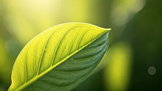 5 Science-Backed Ways to Cultivate Genuine Positivity