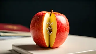 Master Your Metabolism: Glucose Goddess's Essential Travel Hacks for Stable Blood Sugar