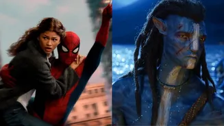 Spider-Man Brand New Day Crosses Rs 500 Crore Gross In India, Beats Avatar 2 To Become Biggest Hollywood Film Ever