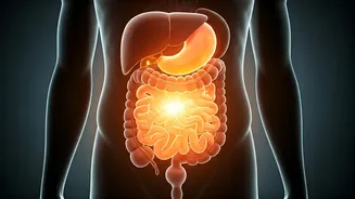 Beyond 30: Unpacking the Rise of Belly Fat and How to Combat It