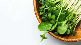 Health Conscious Indians Choose Fresh Microgreens Over Synthetic Nutrient Pills