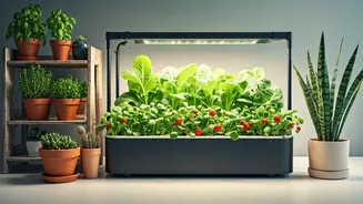 Unlock Your Green Thumb: Explore 6 Inspiring Home Gardening Styles