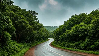 Goa In Monsoon Is Quietly Having A Moment