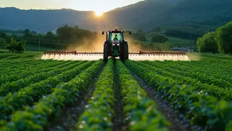 Soundwave Powered Crop Protection Brings Chemical Free Solutions To Urban Agriculture