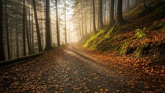 Daily Horoscope: Zodiac Signs Urged to Slow Down, Dec 20, 2025