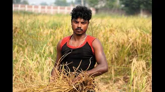 Experts Advocate for Greater Role of Women in Agriculture