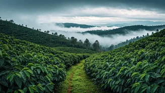 Why Young Indians Are Flocking To Coorg This Rainy Season