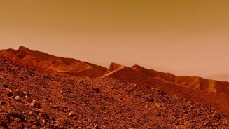 A Venus Camera Must Survive Harsh Conditions and Still Tell a Geological Story