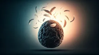 Release the Weight: 8 Proven Strategies to Overcome Guilt and Move Forward