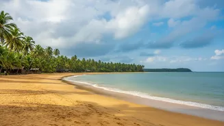How Digital Nomads Choose Palolem Co Working Hubs During Rainy Seasons
