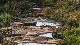 Keep Clothes, Gadgets And Documents Safe On Western Ghats Rainy Trails