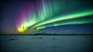 2026's Solar Show: Night Sky Spectacles