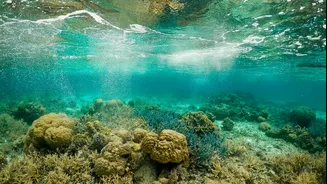 Climate Change Accelerating Beyond Response Capacity, Scientists Warn