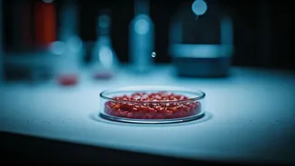 Tragic Dosa Incident: What Went Wrong with Store-Bought Batter & How to Stay Safe