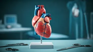 Heart Failure: Know Symptoms, Risks, Prevention