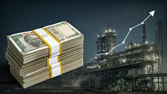 Tenneco India's IPO: A Deep Dive for Investors