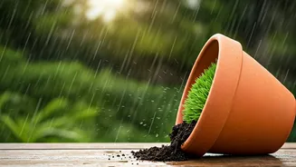 Tilted Pots Make Rainwater Drain Faster