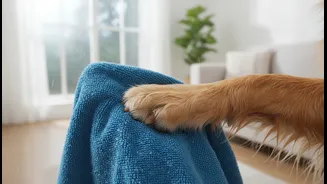 Why Experienced Pet Parents Use Microfibre Towels For Effective Monsoon Paw Moisture Extraction