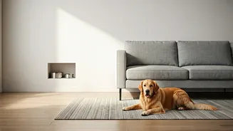 Modern Homes Are Becoming More Pet-Friendly