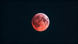 Related Stories banner