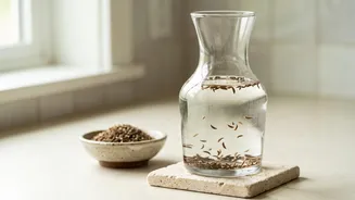 Caraway Seed Water Is Traditionally Used For Occasional Bloating