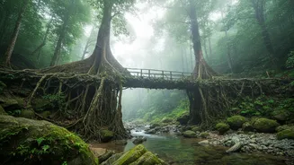 Why Shillong And Cherrapunji Stand Out As Rainy Season Workation Destinations