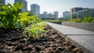 Environmental Research Unveils Fast Soil Microbe Recovery Techniques For Flooded City Gardens
