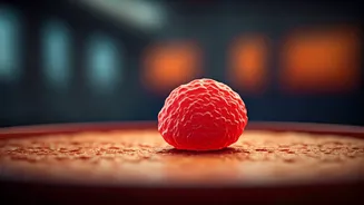 Vande Bharat Food Allergy Scare: Passenger's Shocking Experience and Official Response