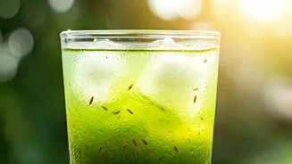 Refresh Mornings With Spiced Cumin Green Mango Ice Chilled Blends