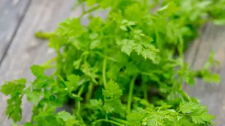 Why Checking Small Quantities of Delicate Foods Matters after Fresh Monsoon Grocery Advice