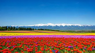 Spring Getaways: 6 Best Destinations & Travel Tips