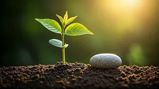 Confucius's Timeless Wisdom: The Power of Slow and Steady Progress for Kids