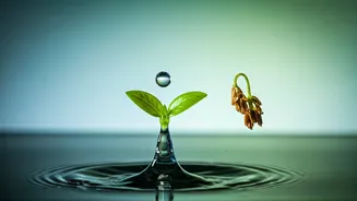 Is Your Thirst a Telltale Sign? Distinguishing Normal Hydration Needs from Diabetes Symptoms