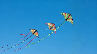Makar Sankranti: Wishes, Joy, & New Beginnings