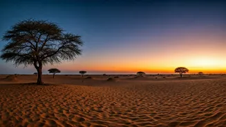Thar Desert Romance Looks Better Without Crowds