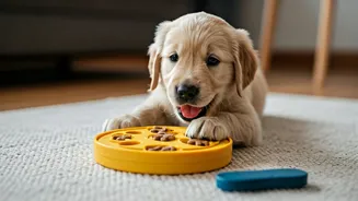 Indoor Boredom Needs Treats, Toys And Training