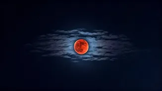 Related Stories banner