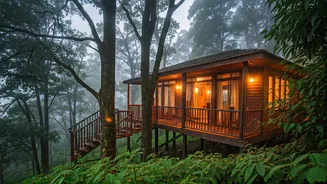 Why Newlyweds Book Misty Coorg Treehouses For Honeymoons
