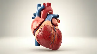 Reversing Prediabetes: Slash Heart Attack Risk Significantly!