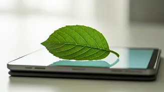 Unlocking Wellness: A Deep Dive into Virtual Nutrition Platforms