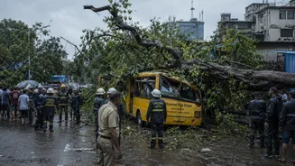 Mumbai Monsoon Tragedy: 11-Year-Old Killed, 4 Children Injured as Tree Crashes Onto School Bus