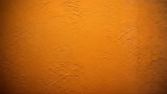 Give Blank Walls Boho Vibes Using Terracotta Clay Finishes