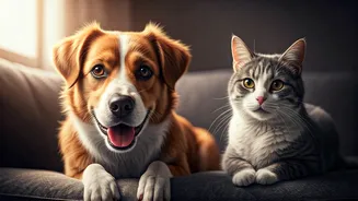 The Social Trend That's Perfect For Pet Owners