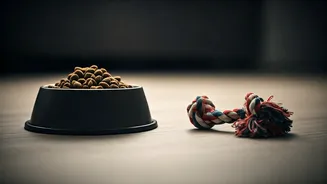 Lower Walk Time Can Affect Pet Diets Fast