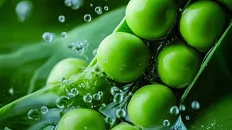 How To Turn Frozen Green Peas Into A Crispy Flavourful Evening Treat