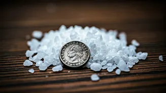 Salt's Surprising Legacy: How This Ancient Mineral Shaped Our Language and Food