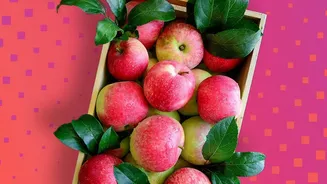 Modern Cold Logistics Tackle Storage Shortages During Kashmir’s Busy Apple-Crushing Season
