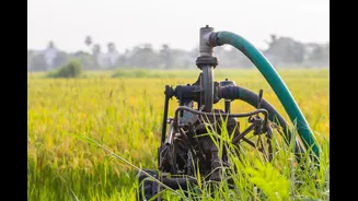 How Land Acquisition Impacts Irrigation Projects in India
