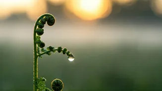 Pisces Daily Forecast: March 30, 2026 - Cultivate Focus & Humility