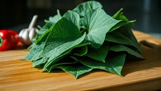 Unlock Flavor: 5 Delicious Recipes Featuring Nutrient-Rich Sweet Potato Greens